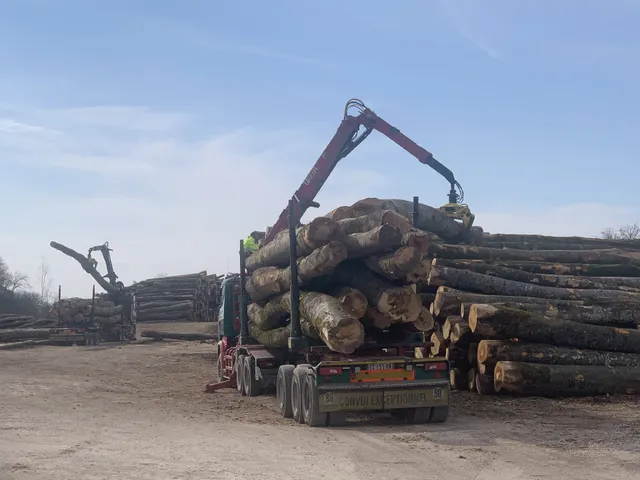 Bois sur pieds et / ou débardés bord de route