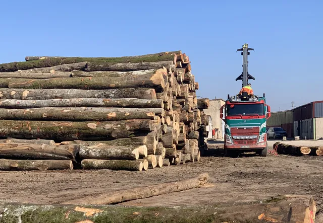 Gestion du stock de grumes